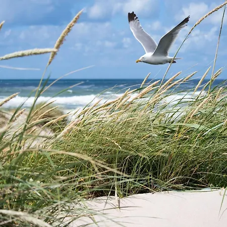 Apartamento Duplex In Near North Sea *